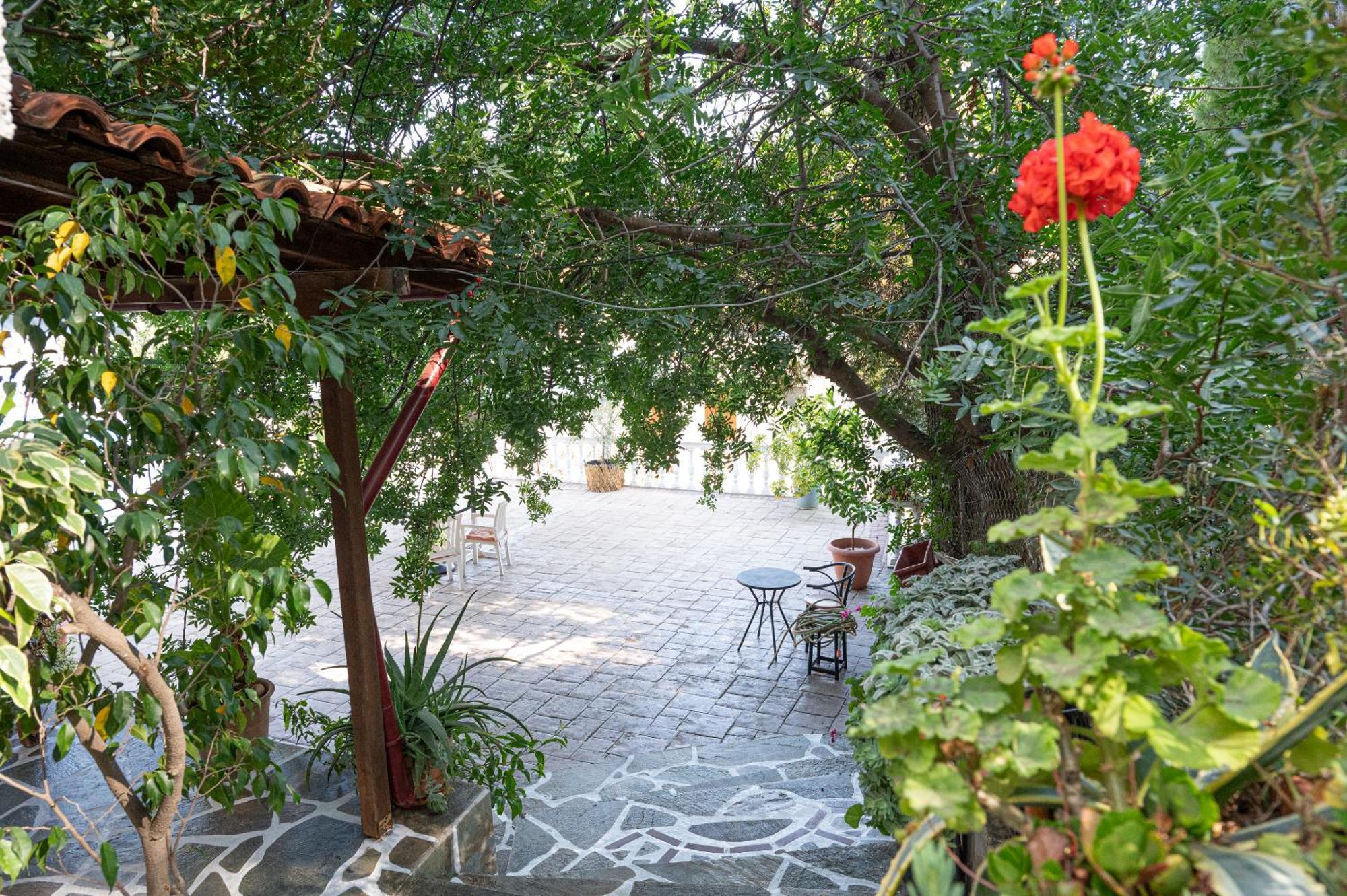 Lions 2 Studios & Apartments, Poros Island. Poros Town Buitenkant foto